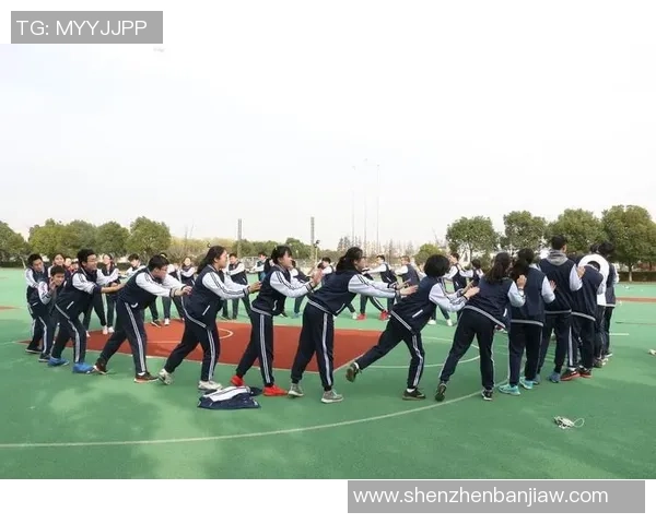 杭州乒乓球队的崛起之路：探索团队力量与竞技精神的完美结合