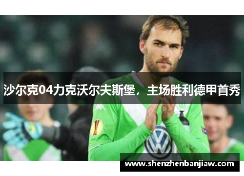 沙尔克04力克沃尔夫斯堡，主场胜利德甲首秀